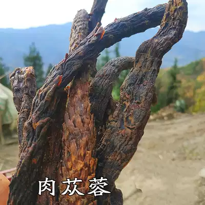 Cistanche tablet Inner Mongolia Alashan Cistanche Cistanche Whole root Cistanche Cynomorium sputicola Cistanche Liquor 500g