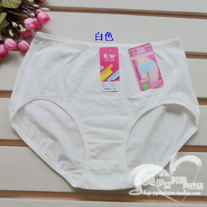 Slip en coton - Ref 642992 Image 13