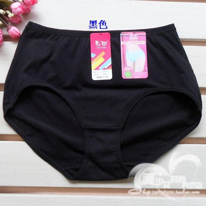 Slip en coton - Ref 642992 Image 19