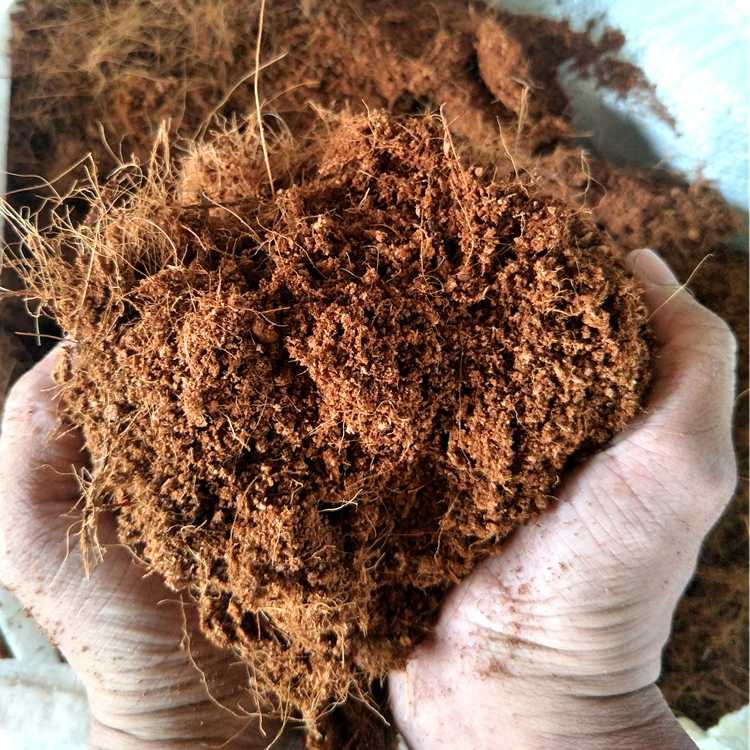 多肉植物肉肉专用营养土椰糠土花卉园艺椰子壳吸水透气植物土壤 多肉植物肉肉专用营养土椰糠土花卉园艺椰子壳吸水透气植物土壤