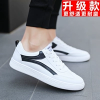 CK004 White Black (обновление)