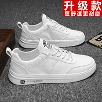 V001 White (модель обновления)