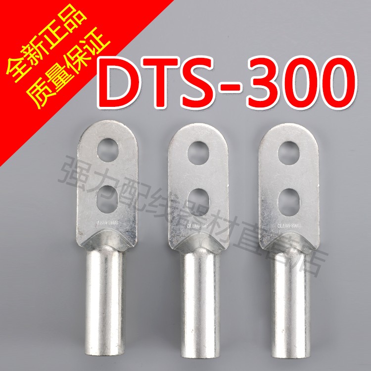 The standard double - hole tin - plated copper nose DTS - 300 copper wire terminal copper - plated double - hole copper terminal