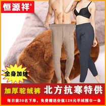 Hengyuan Xiang Winter Anti-chilling Hump Warm Pants Men Plus Suede Thickened Cotton Pants Middle Aged Loose Big Code Wool Pants Women