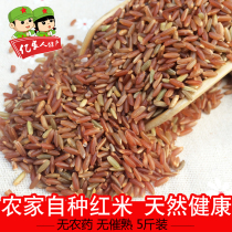 Jinggangshan red rice red brown rice farmers self-grown red rice red rice red rice whole grains 5kg of coarse grains