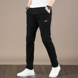 Тонкие шелковые летние трендовые быстросохнущие эластичные штаны, свободный прямой крой