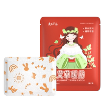 Moxibustion and Moxibustion Don’t Forget Wormwood Warm Patch 1 patch bag