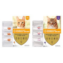 Bayer loves Walker young cat into cat insect repellent both inside and outside the same insect repellent ear mites fleas