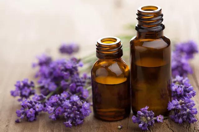 Dotray Lavender tinh dầu 10ml bóng gói mụn in khử muối mụn in duy nhất fang hương liệu tinh dầu chính hãng tinh dầu ô tô