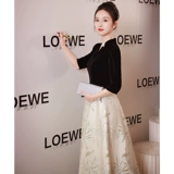 Высококачественное и атмосферное обручальное банкет вечернее платье для женщин 2025 Новый легкий роскошный ниша для взрослых подарки для взрослых хозяин высокого класса