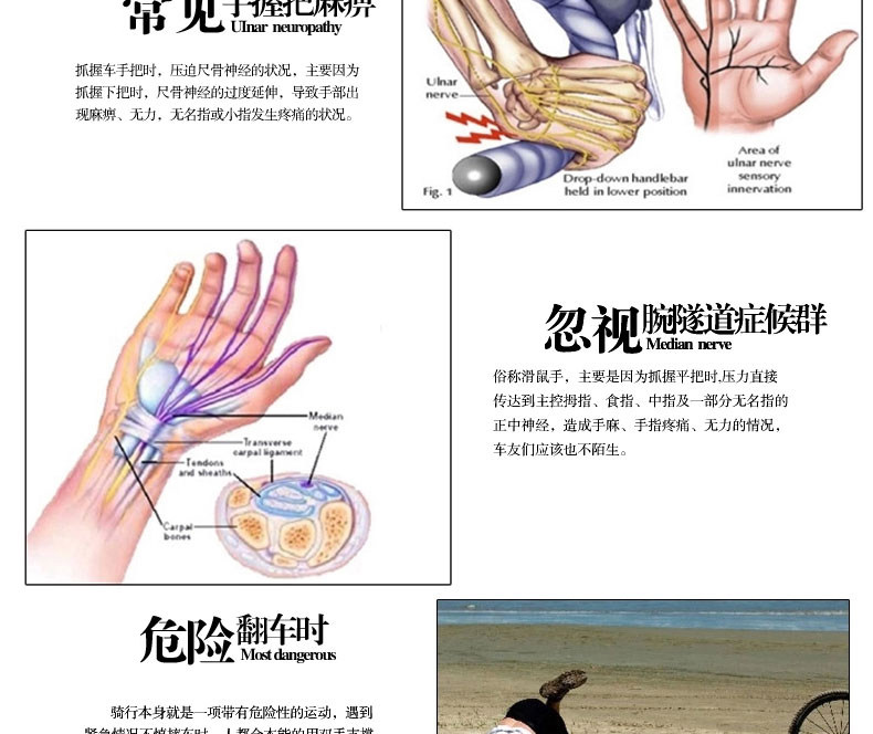 Gants pour vélo mixte ACACIA - Ref 2249849 Image 9