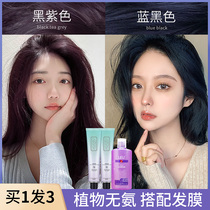 Gog's grape purple hair dye cream black purple new popular white plant blue black pure woman in 2022