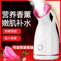 Hot spray facial steamer home beauty instrument aromatherapy sprayer hydrating facial steamer spray machine nano facial steamer moisturizing and moisturizing