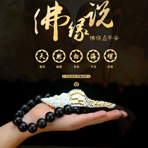 Home Dextral Conch Biology Left-handed Dextral Conch White Conch