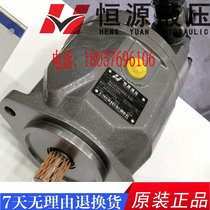 Jiangsu Hengyuan Hydraulic HA10VSO18 28 45 71 100 140DFR DFLR DFR1 31R-PPA6