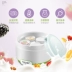 Máy làm sữa chua đa chức năng nhà lên men nhỏ tự động dung tích lớn cốc thủy tinh tự chế rượu gạo ký túc xá đơn - Sản xuất sữa chua