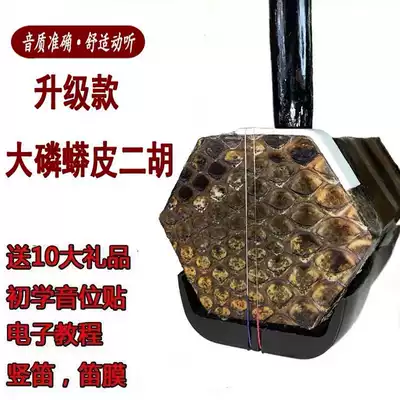 Python skin erhu hexagonal national musical instrument tutorial factory direct sales beginner adult zero basic student children