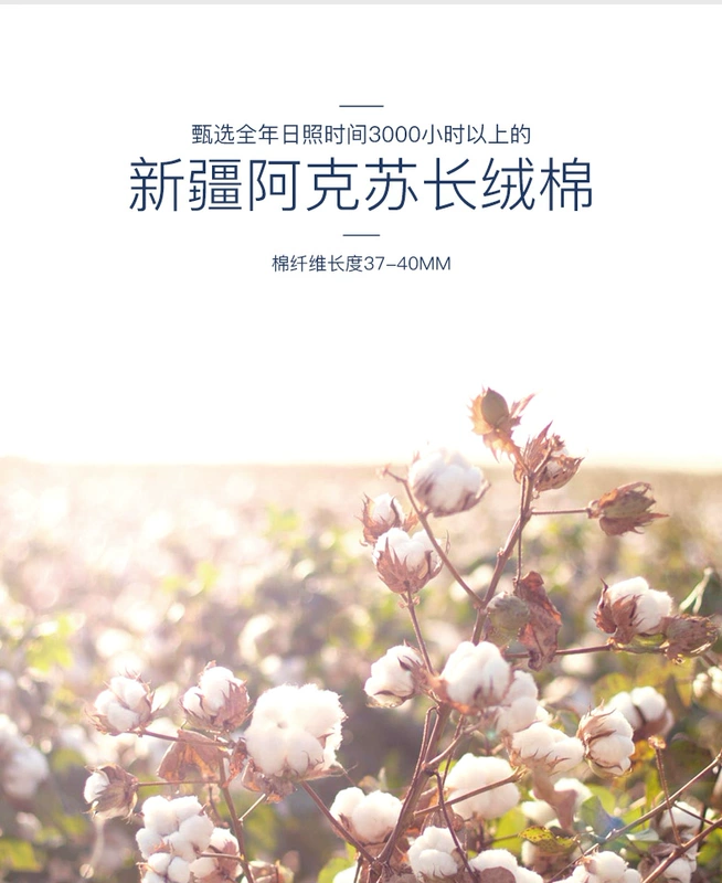 Áo thun chui đầu nam chuồn chuồn nam 2019 mùa hè cotton mỏng nhiều màu thoải mái - Áo phông ngắn áo phông nam tay ngắn