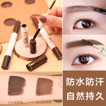 Root and root clear novo Eyebrow Cream Waterproof and sweat-proof non-decolorization female natural long-lasting eyebrow cream eyebrow brush