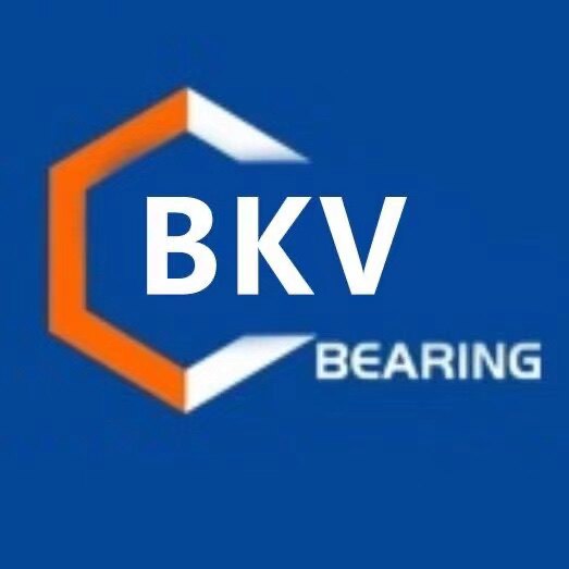BKV轴承专店的LOGO