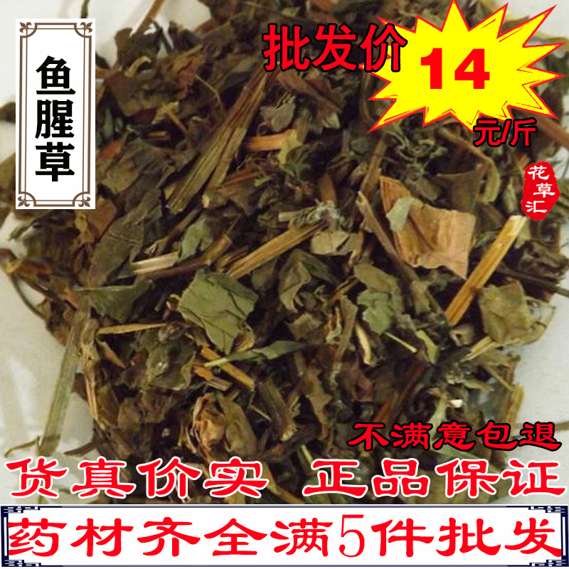 Houthouthone Chinese herbal medicine batch of wild cordate houthoutis dried tzatzengrass purple back with nine knotween