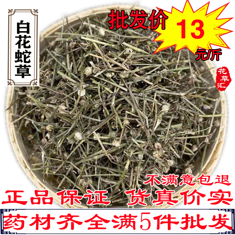 Snake Grass Oldenlandia Diffusa 500 gr Pure Wild Tongue Grass Batch of Sheep Tongue Snake Tongue and Snake Tongue of Snake Tongue