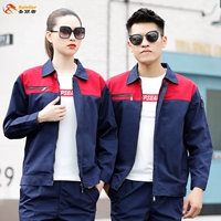 Набор из темно -синего цветовой комбинации