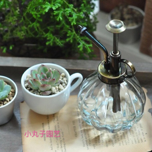 Retro art spray water jug small gas pressure household watering sprinkler European style glass small spray pot-Taobao