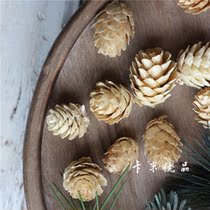 Komatsu Flower home decoration photography photo shoot picture props natural dried fruit pine cone pine cone dry flower immortal flower box