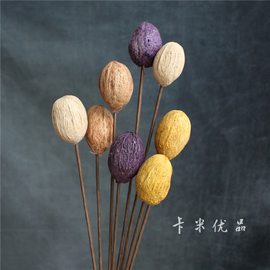 (Kami Youpin) Yunnan dry flower hand-pierced dried fruit branch photography props beautiful retro wood mango import