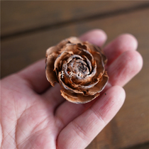 Christmas Decorations Wood Rose Natural Dry Fruits Dried Flowers Materials Christmas Pine Fruit Diy Accessories Photo Props