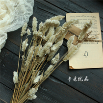 Green hog roscomb torch dry bouquet forever flower Yunnan dried flower arrangement diy garland flower with flowers
