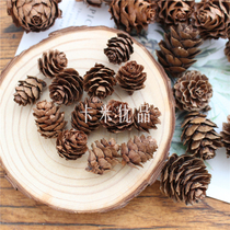 Komatsu Flower home decoration photography photo shoot picture props natural dried fruit pine cone pine Tower dried flower larch fruit