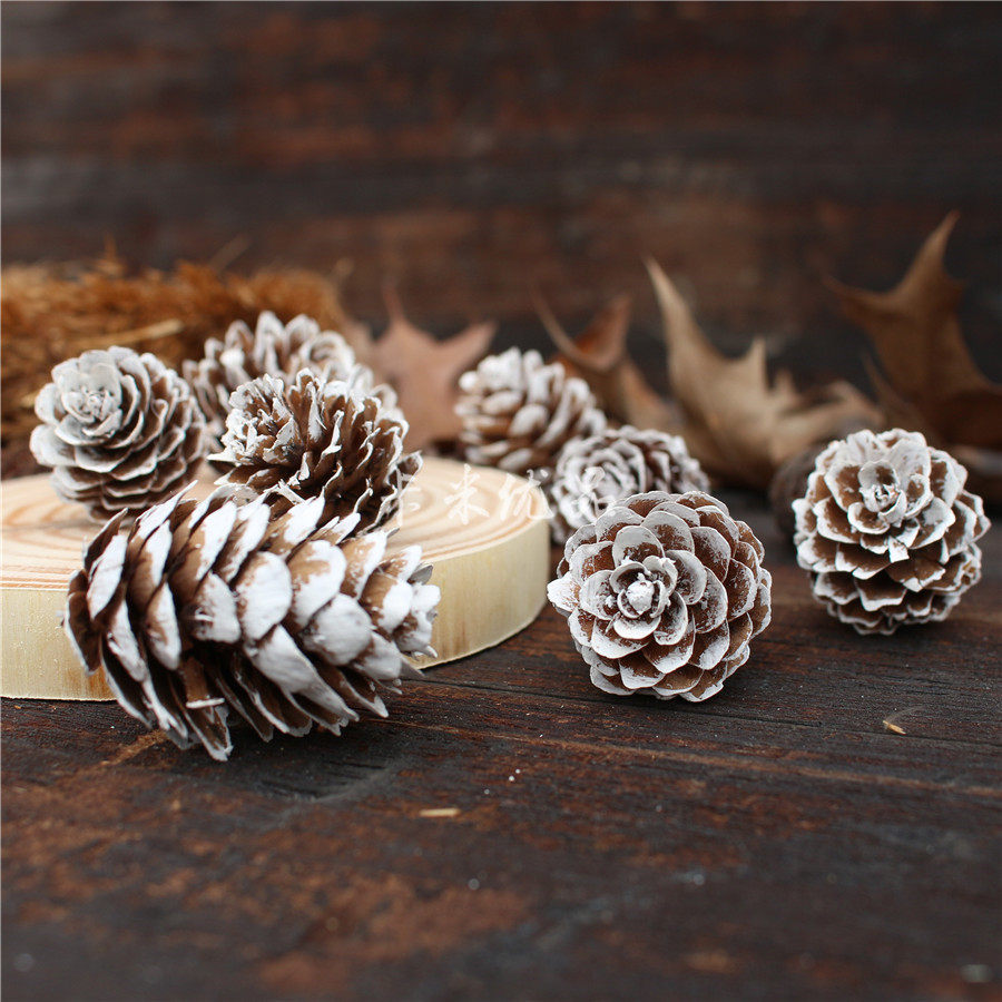 Dyeing Komatsu flower Home decoration photography photo shoot props Natural dried fruit pine tower dried flower eternal life flower box