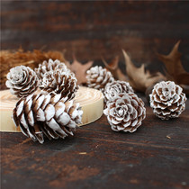 Dyeing small pine flower home decoration photography photo shoot picture props natural dried fruit pine Tower dried flower immortal flower box