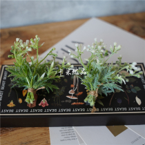 Figs Mini Emulation Flower Gift Packaging Art Modern Simplicity Soft Dress Orchid Bundle Wedding Decoration Sign to Flower