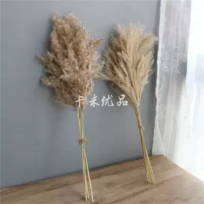 Dry flower Reed Yunnan original ecological dry hay reed grass hay hay grass grain photo props
