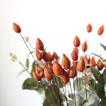 Natural dried flowers red cherry berries home interior decoration art deco Hay shooting props flower arrangement