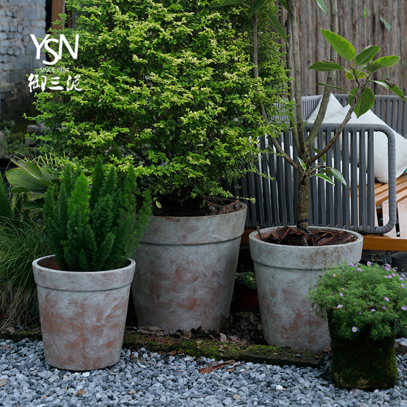 Royal three kind of saplings in mud fleshy red pot do old coarse pottery flowerpot legend garden hotel decoration restoring ancient ways
