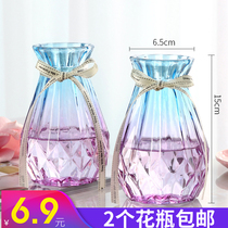 2-piece set of two-color vase glass transparent water raising arrangement living room flower bottle insert vase simple ins dried flower vase
