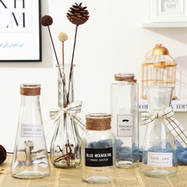 ins hipster simple transparent vase Creative Glass living room ornaments hydroponic flower arrangement dry flower Flower