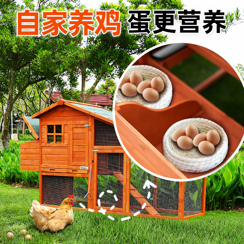 实木鸡笼铁丝网家用室外鹅鸭舍大号户外庭院走地鸡笼子鸡窝养殖笼：养鸡新宠，懒人必备！-宠物鸡-淘宝好物网