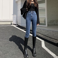 Темно -синий (восемь очков) пружина и осень