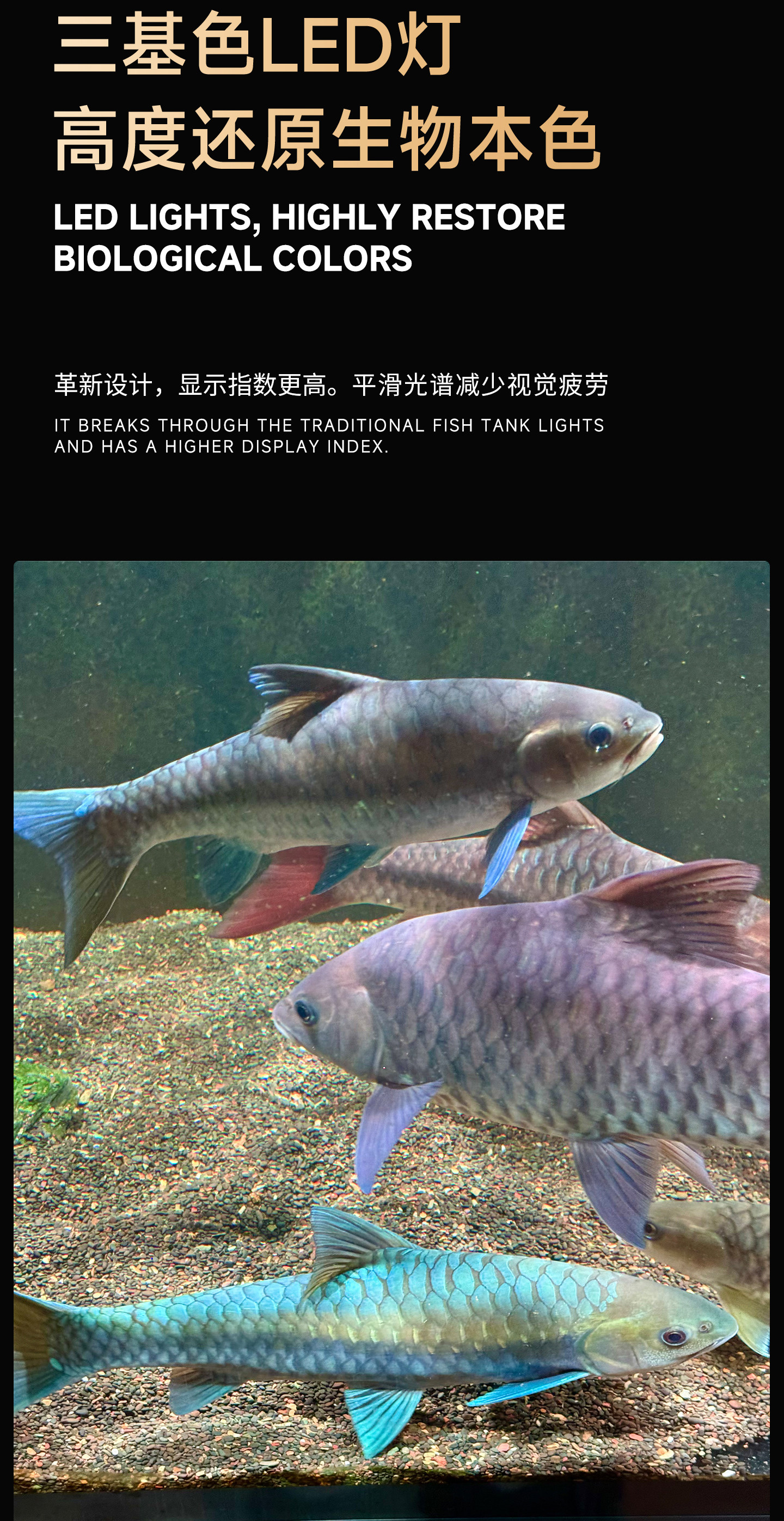 马印吉罗筒灯吉罗鱼专用增艳增色全光谱LED鱼缸灯爆藻灯超色筒灯 detail 8