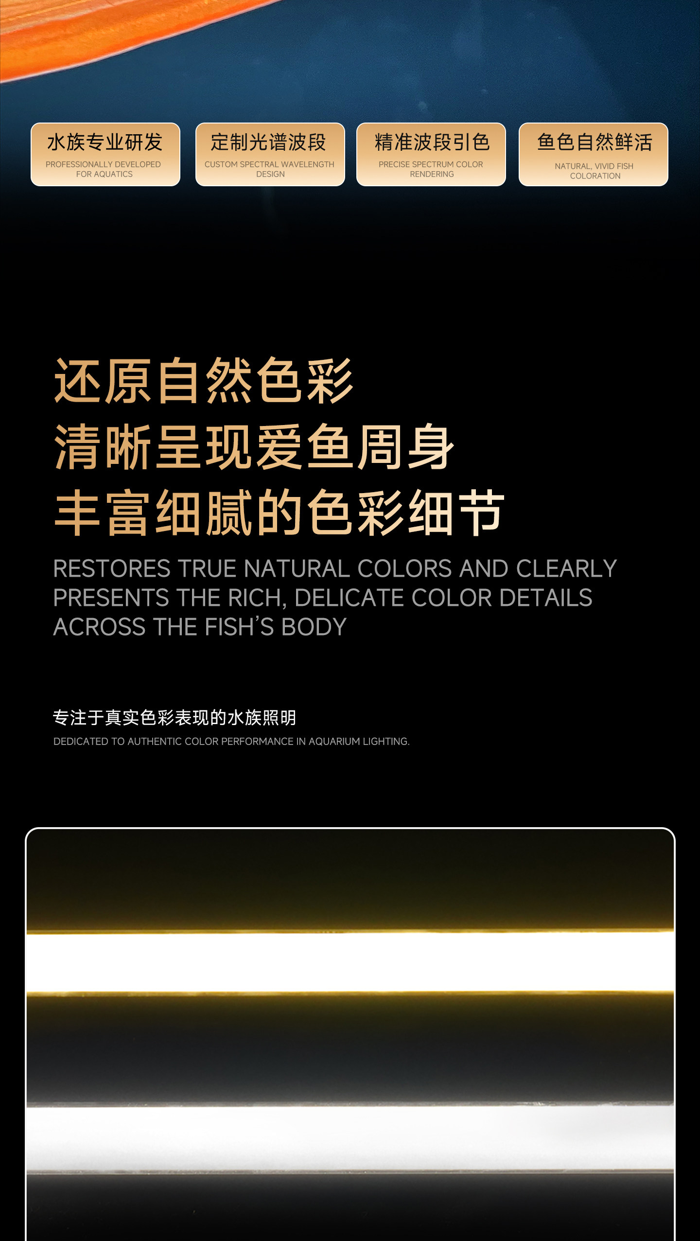 马印发色灯龙鱼灯专用三基色鱼缸灯水族箱灯管潜水灯NEC灯全光谱 detail 7