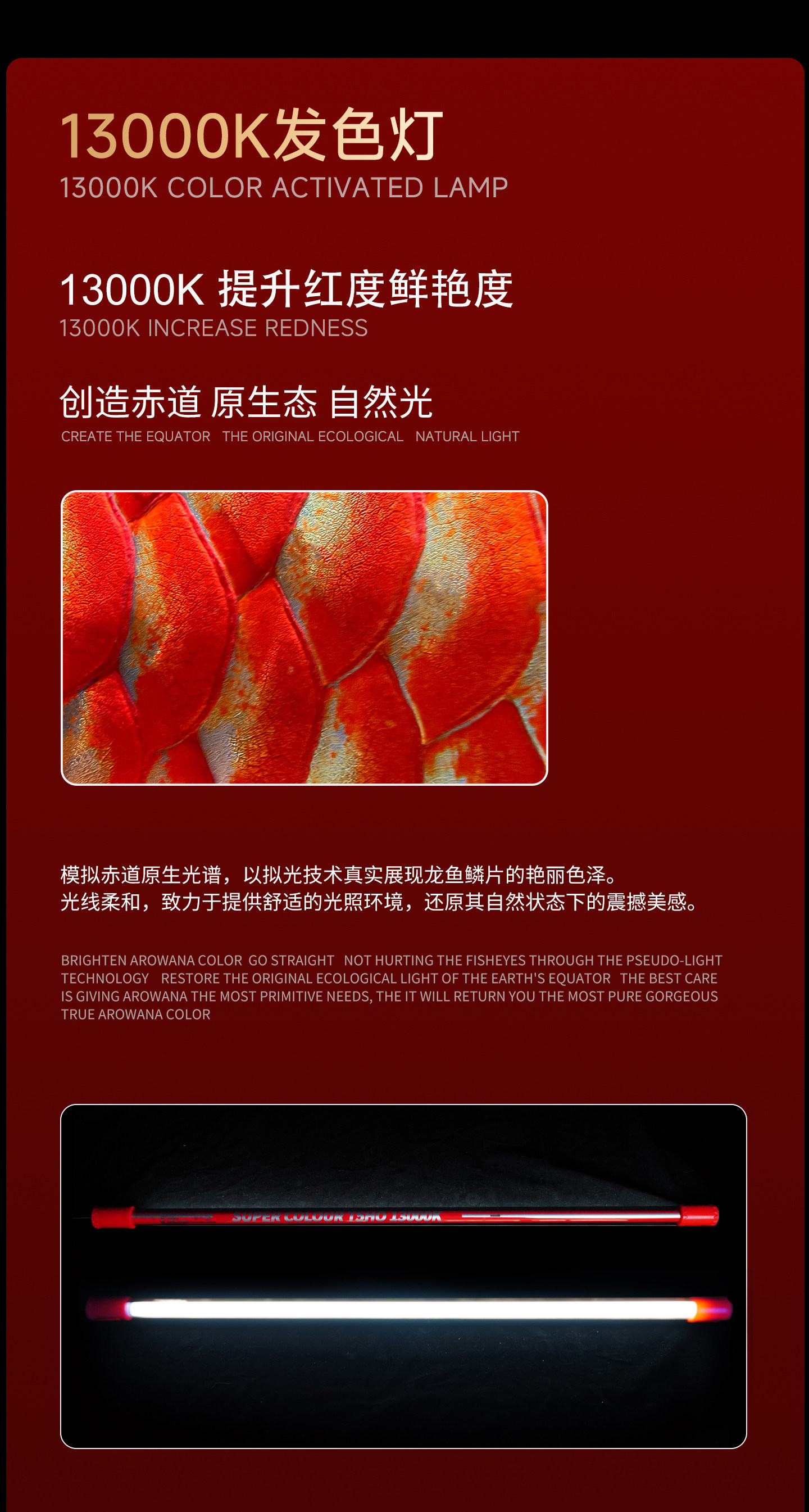 马印发色灯龙鱼灯专用三基色鱼缸灯水族箱灯管潜水灯NEC灯全光谱 detail 12