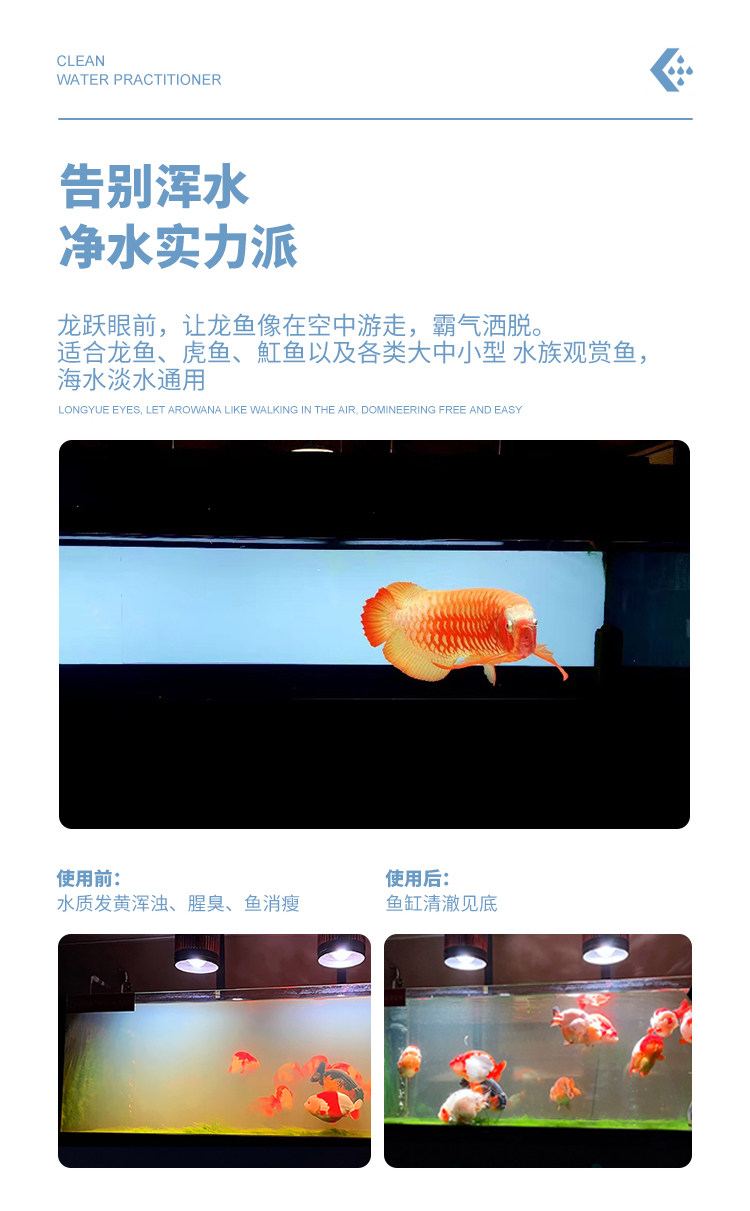 马印橄榄球鱼缸过滤材料纳米球陶瓷环培菌滤材鱼缸细菌屋净水过滤 detail 12