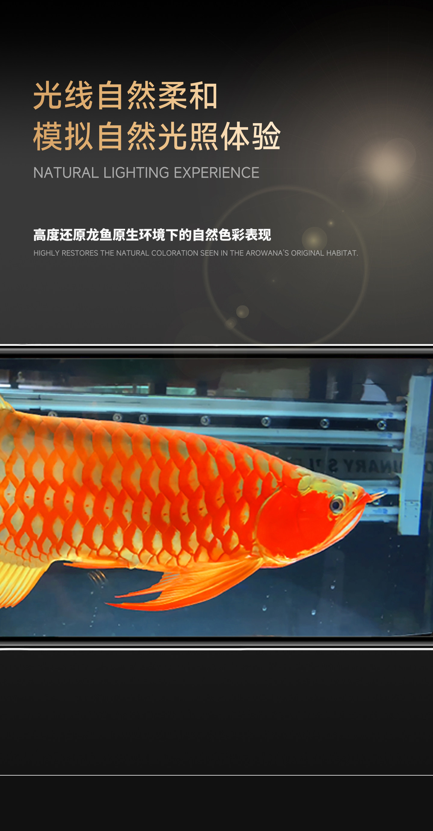 马印发色灯龙鱼灯专用三基色鱼缸灯水族箱灯管潜水灯NEC灯全光谱 detail 16