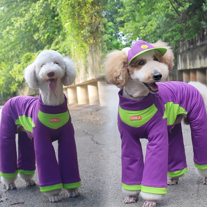 Big Dog Summer Outfit Purple Series Dustproof Outdoor Jumpsuit for Golden Retriever and Alaskan Malamute