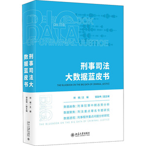 刑事司法大数据蓝皮书 林维 编 法学理论 社科 北京大学出版社